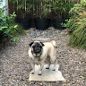 Meet your Posher, Deborah